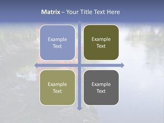 Back Illustration Spine PowerPoint Template