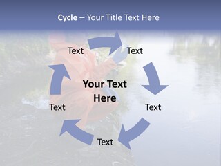 Back Illustration Spine PowerPoint Template