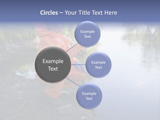 Back Illustration Spine PowerPoint Template