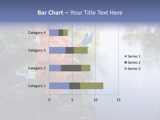 Back Illustration Spine PowerPoint Template