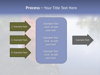 Back Illustration Spine PowerPoint Template