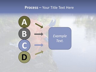 Back Illustration Spine PowerPoint Template