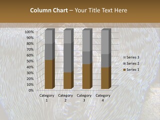 Painful Spine Illustration PowerPoint Template