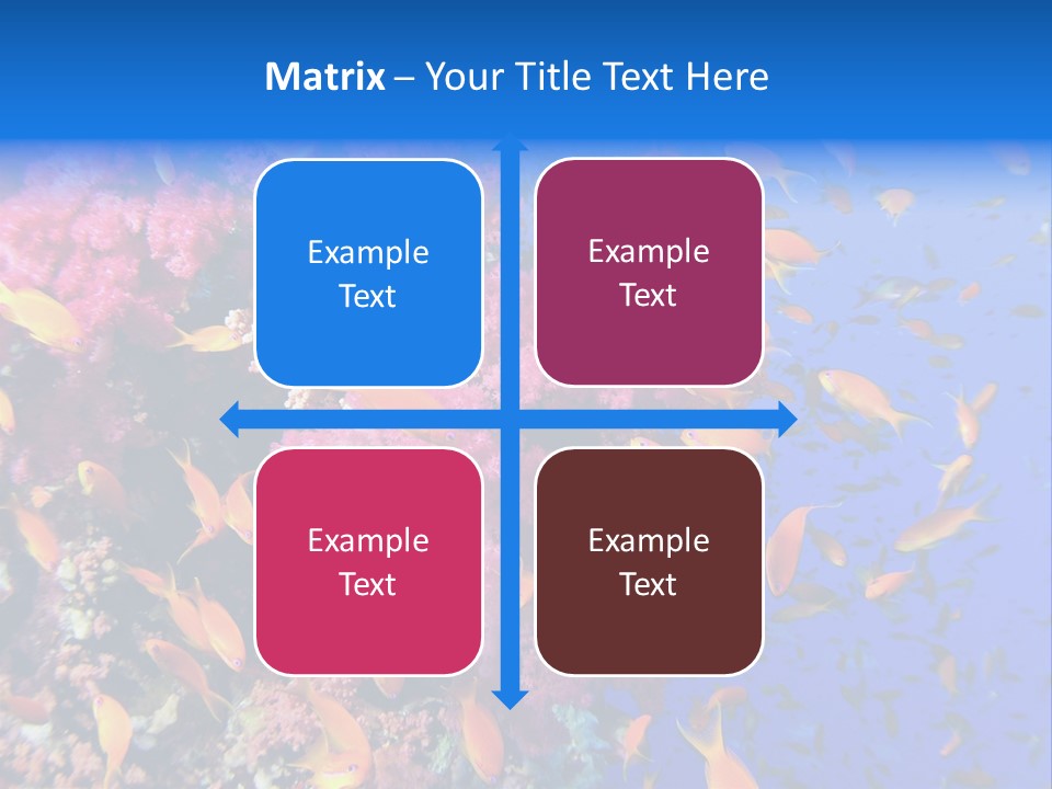 Vertebrae Transparent Body PowerPoint Template