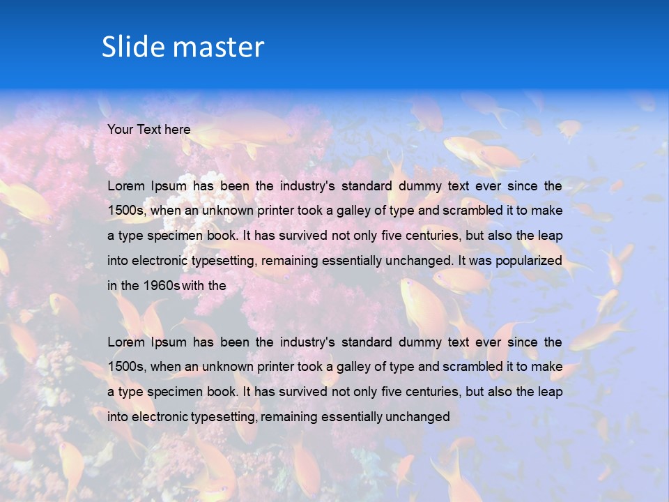 Vertebrae Transparent Body PowerPoint Template