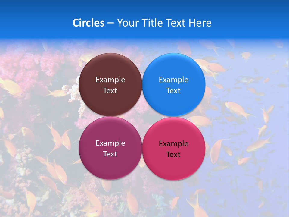 Vertebrae Transparent Body PowerPoint Template