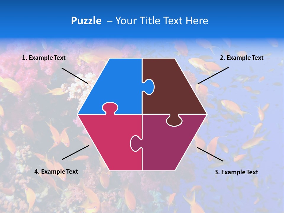 Vertebrae Transparent Body PowerPoint Template