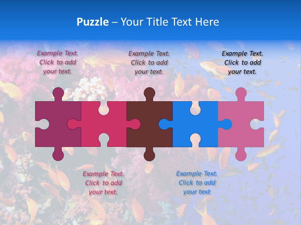 Vertebrae Transparent Body PowerPoint Template