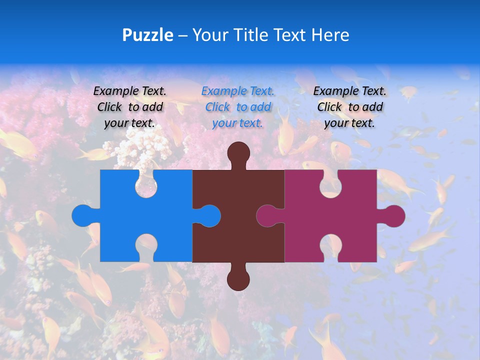 Vertebrae Transparent Body PowerPoint Template