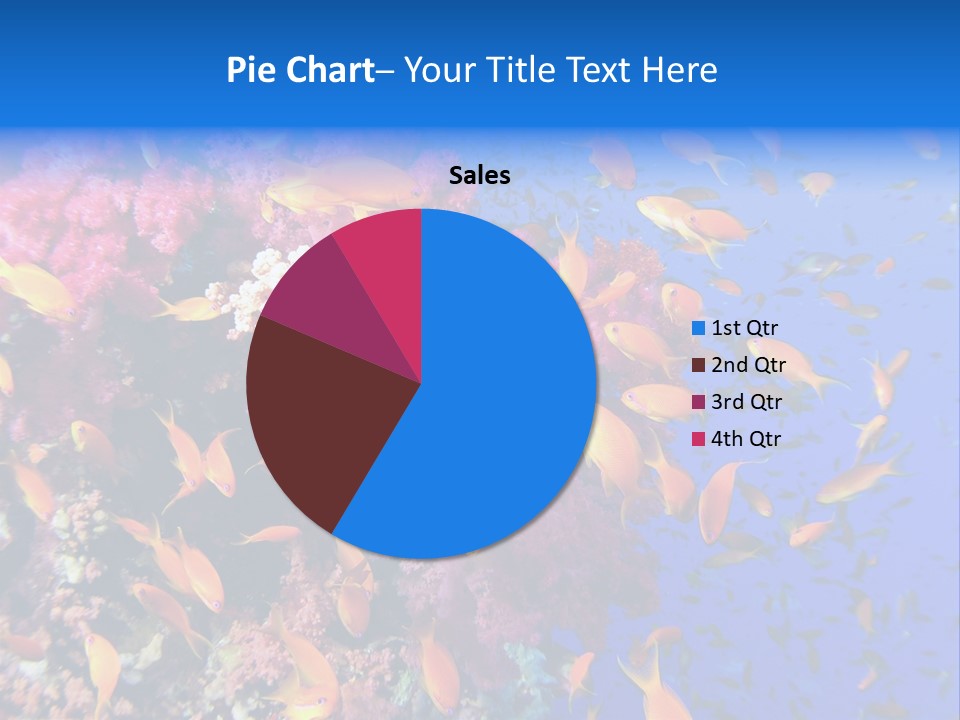 Vertebrae Transparent Body PowerPoint Template