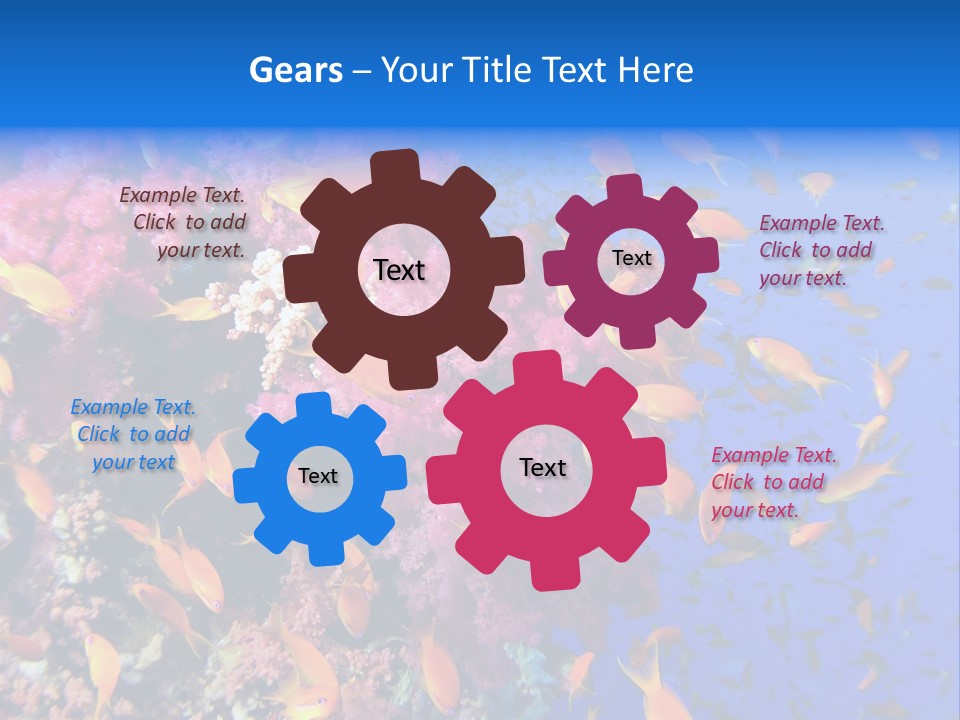 Vertebrae Transparent Body PowerPoint Template