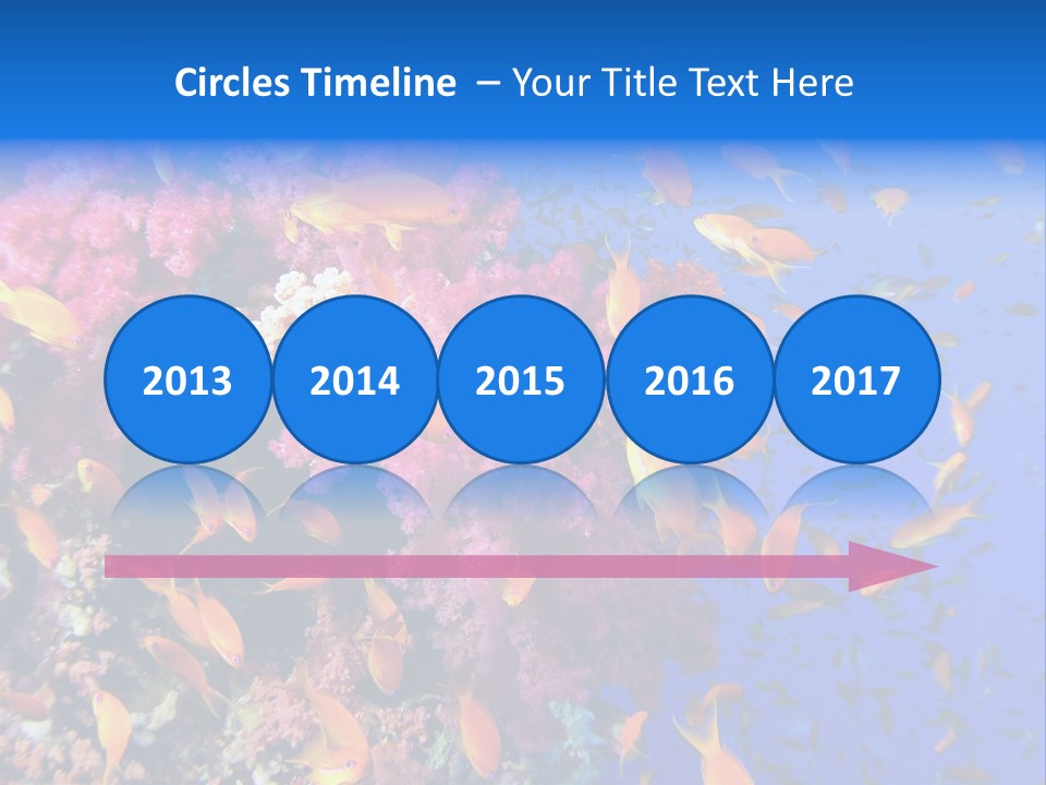 Vertebrae Transparent Body PowerPoint Template