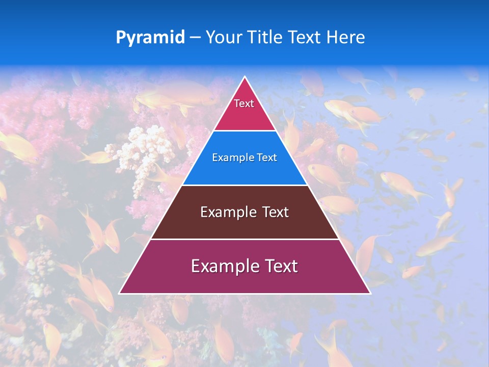 Vertebrae Transparent Body PowerPoint Template