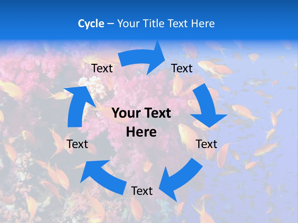 Vertebrae Transparent Body PowerPoint Template