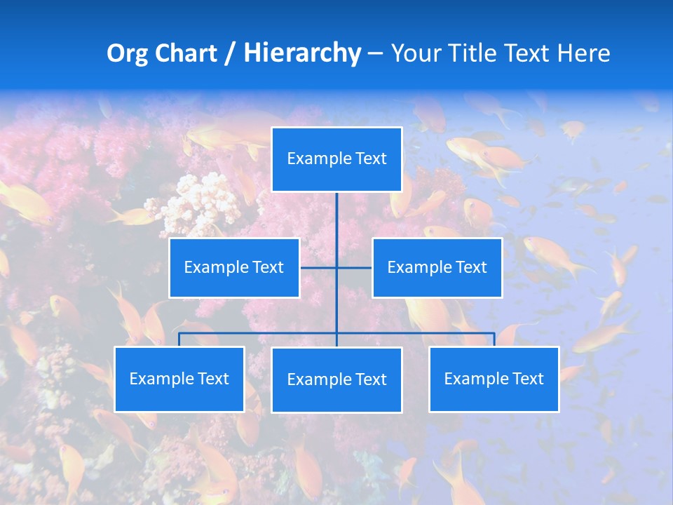 Vertebrae Transparent Body PowerPoint Template
