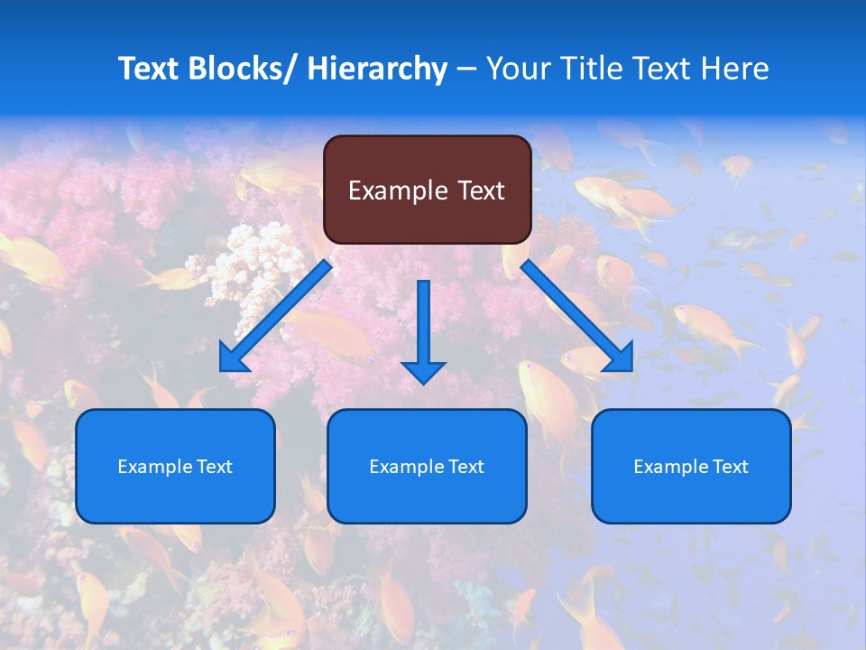 Vertebrae Transparent Body PowerPoint Template