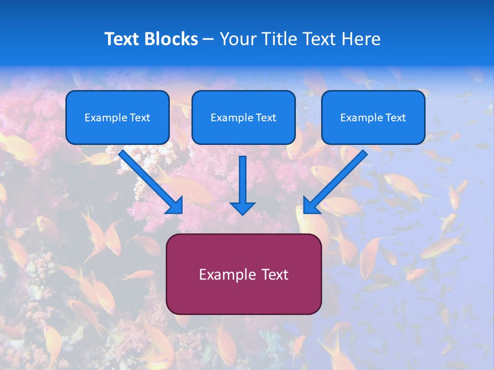 Vertebrae Transparent Body PowerPoint Template