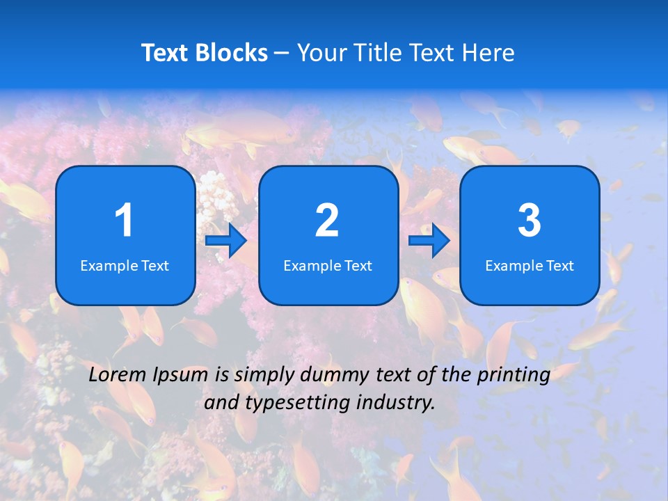 Vertebrae Transparent Body PowerPoint Template