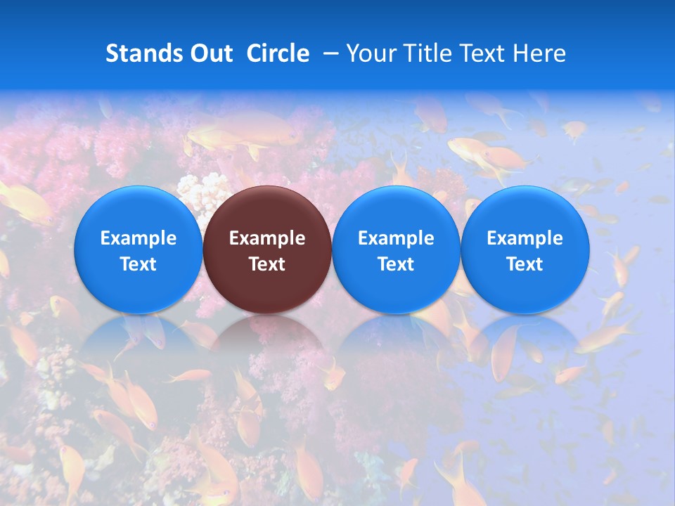 Vertebrae Transparent Body PowerPoint Template