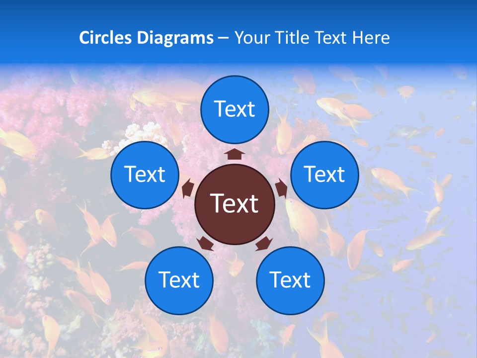 Vertebrae Transparent Body PowerPoint Template