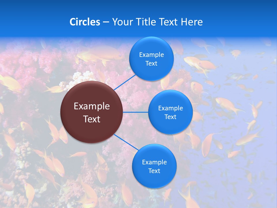 Vertebrae Transparent Body PowerPoint Template