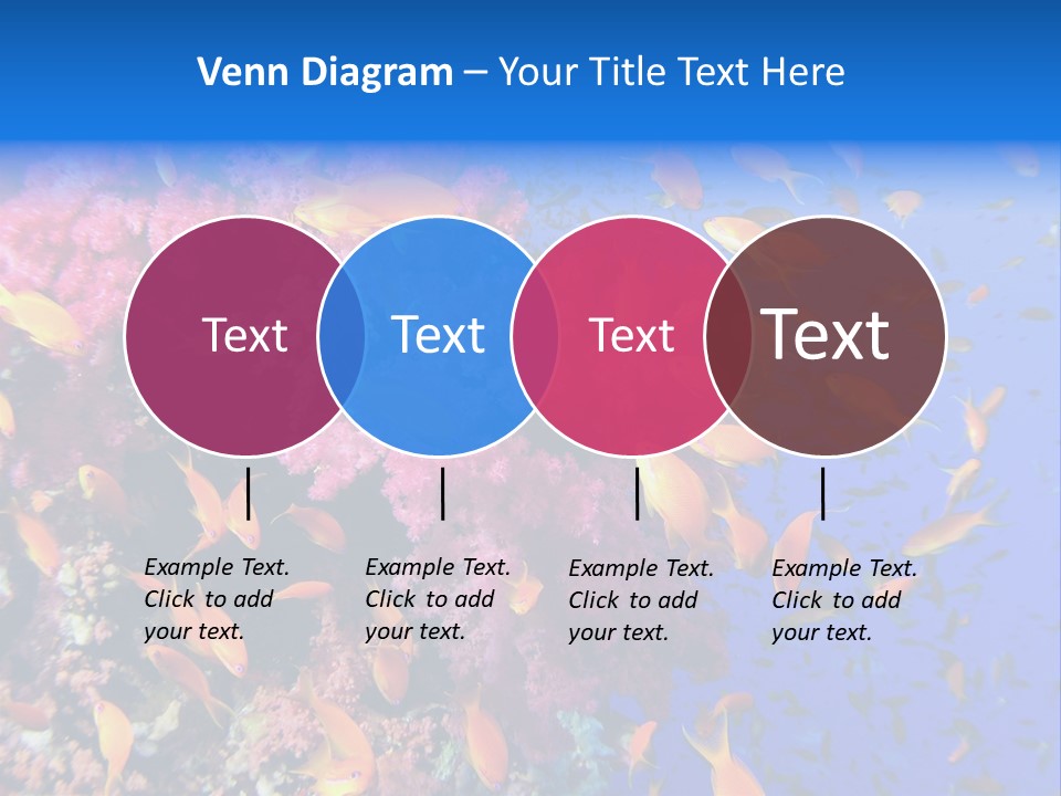 Vertebrae Transparent Body PowerPoint Template