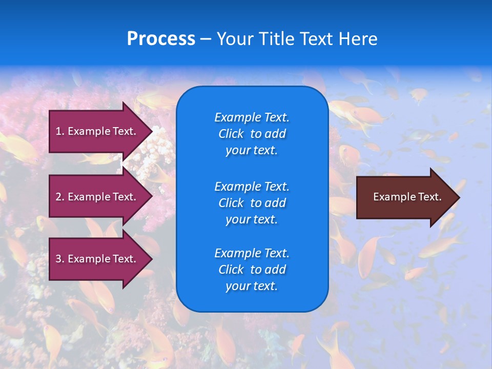 Vertebrae Transparent Body PowerPoint Template
