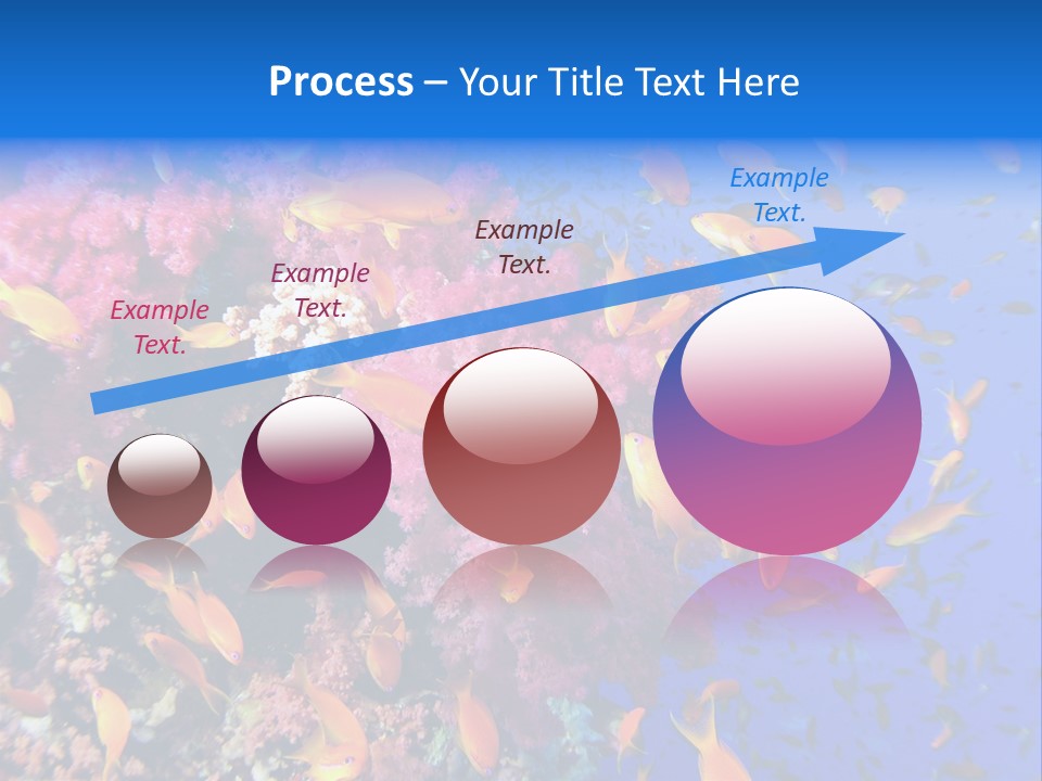 Vertebrae Transparent Body PowerPoint Template