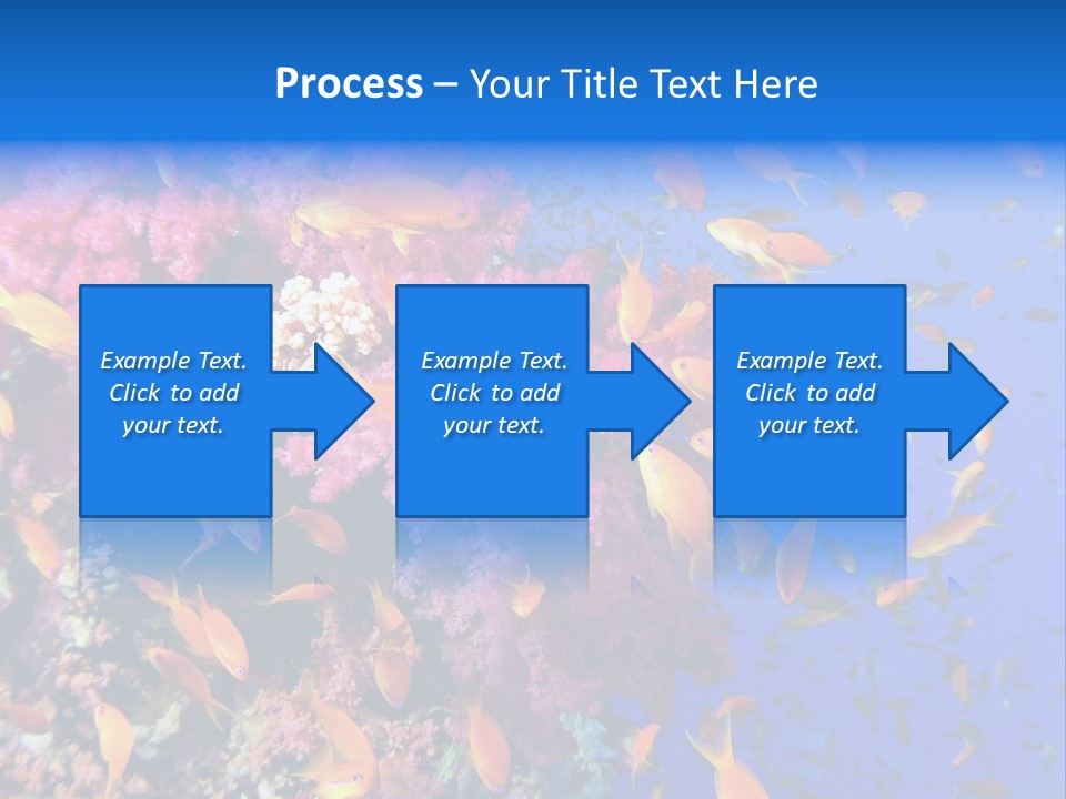 Vertebrae Transparent Body PowerPoint Template