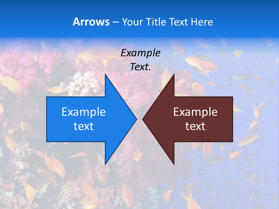 Vertebrae Transparent Body PowerPoint Template