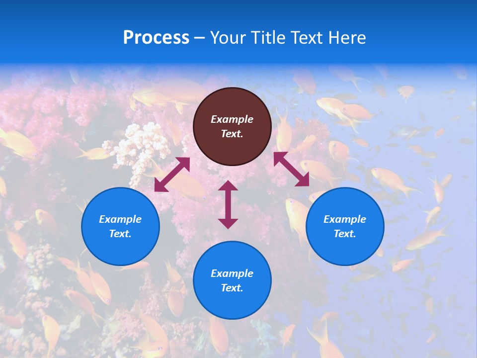 Vertebrae Transparent Body PowerPoint Template