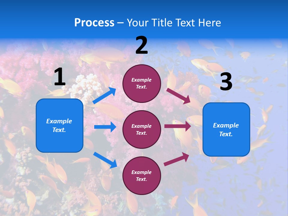 Vertebrae Transparent Body PowerPoint Template