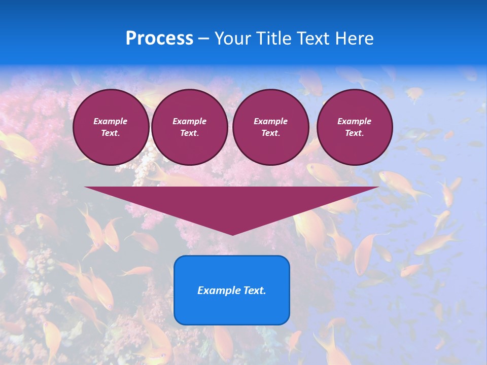 Vertebrae Transparent Body PowerPoint Template