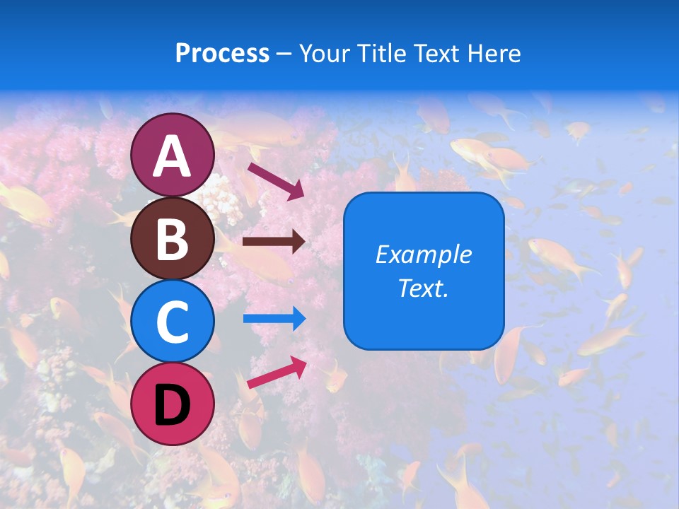 Vertebrae Transparent Body PowerPoint Template