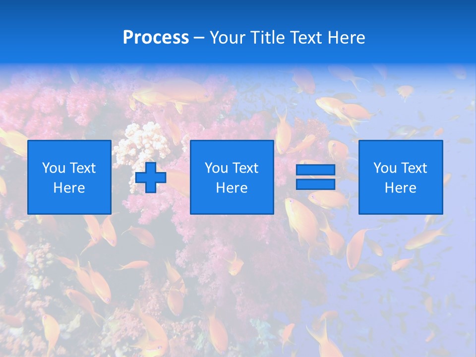 Vertebrae Transparent Body PowerPoint Template