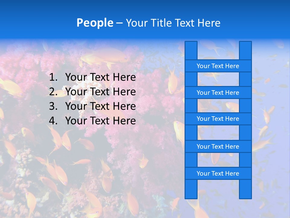 Vertebrae Transparent Body PowerPoint Template