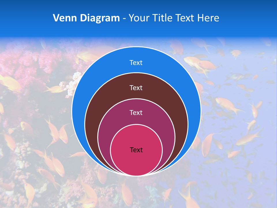 Vertebrae Transparent Body PowerPoint Template