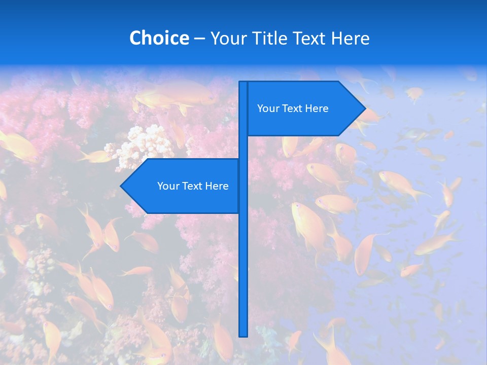 Vertebrae Transparent Body PowerPoint Template