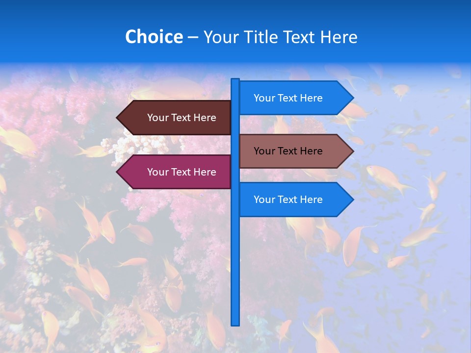 Vertebrae Transparent Body PowerPoint Template