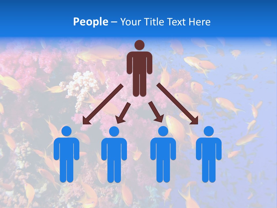 Vertebrae Transparent Body PowerPoint Template