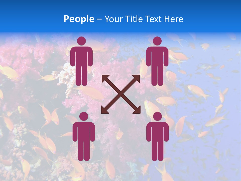 Vertebrae Transparent Body PowerPoint Template