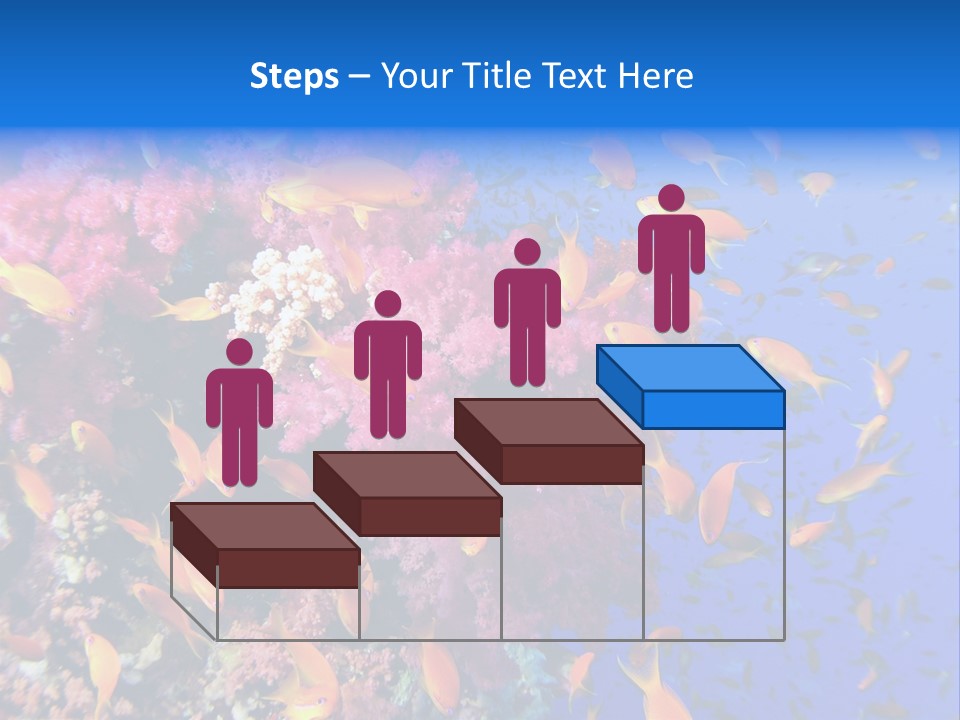 Vertebrae Transparent Body PowerPoint Template