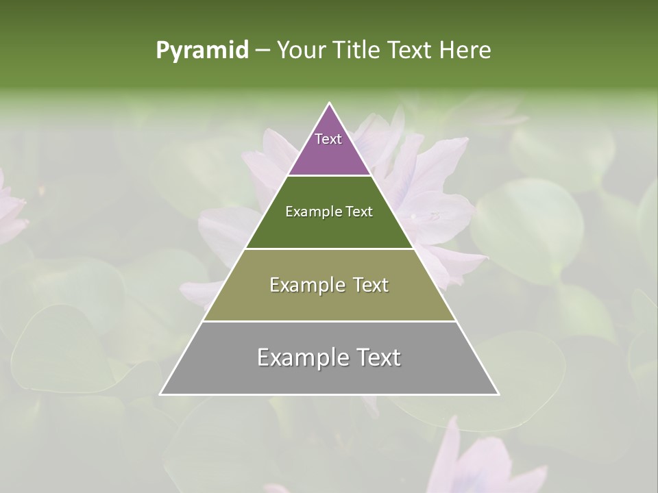 Back Pain Pain Body PowerPoint Template