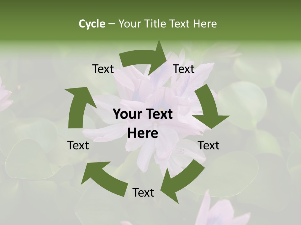 Back Pain Pain Body PowerPoint Template