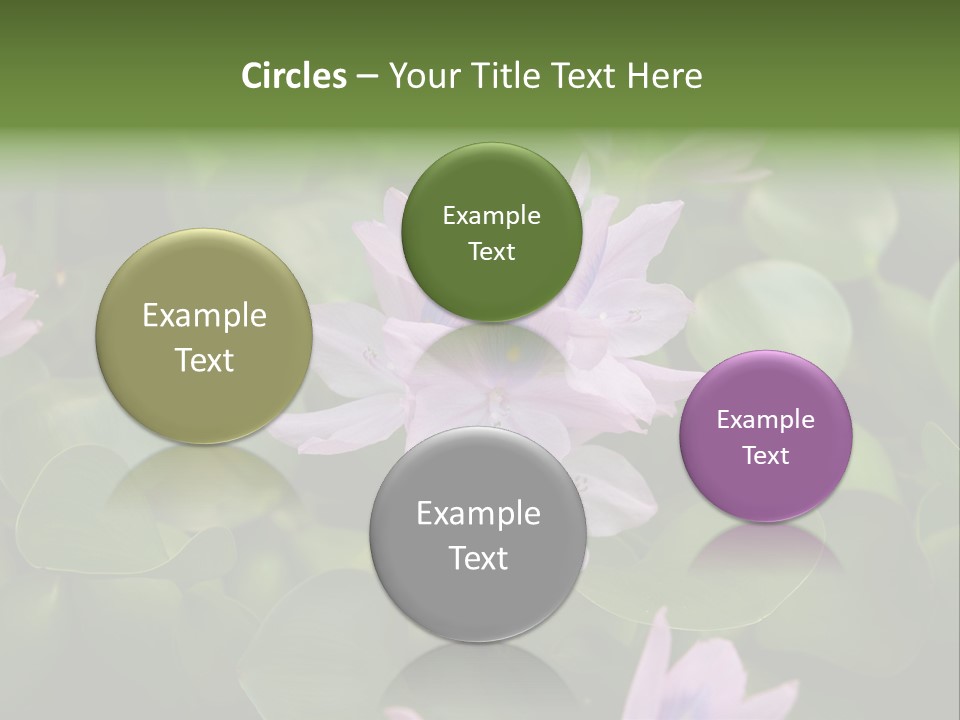 Back Pain Pain Body PowerPoint Template