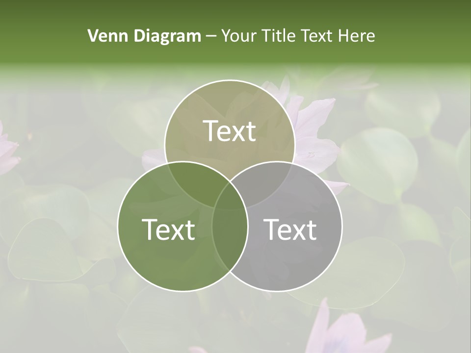 Back Pain Pain Body PowerPoint Template