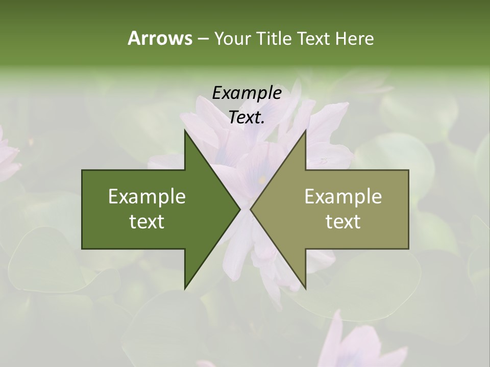 Back Pain Pain Body PowerPoint Template