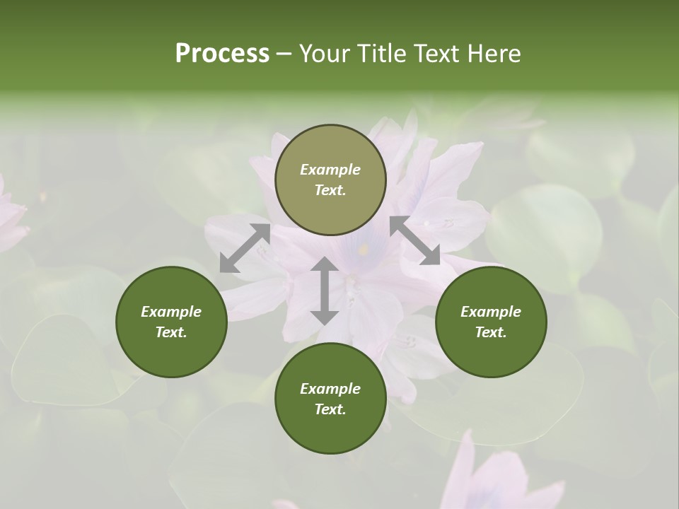 Back Pain Pain Body PowerPoint Template