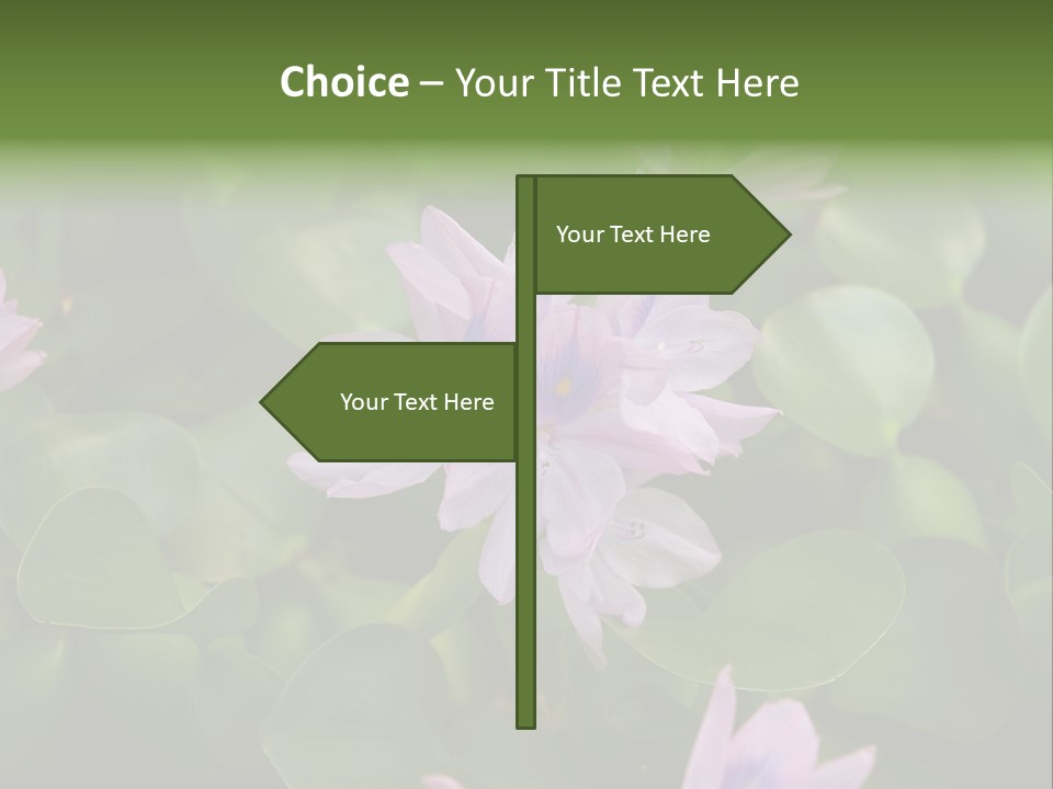 Back Pain Pain Body PowerPoint Template