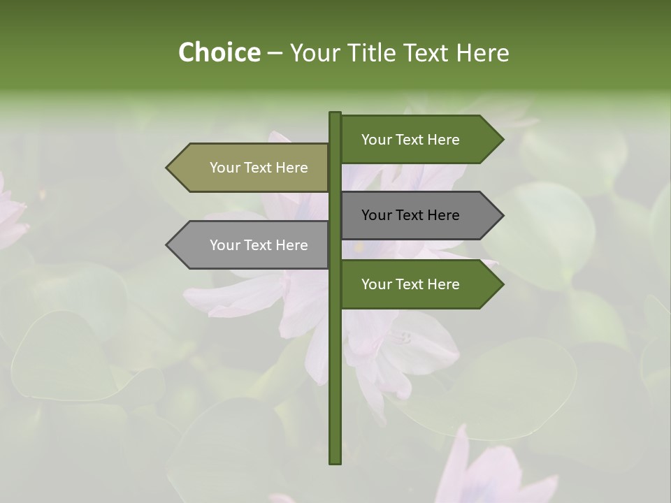 Back Pain Pain Body PowerPoint Template